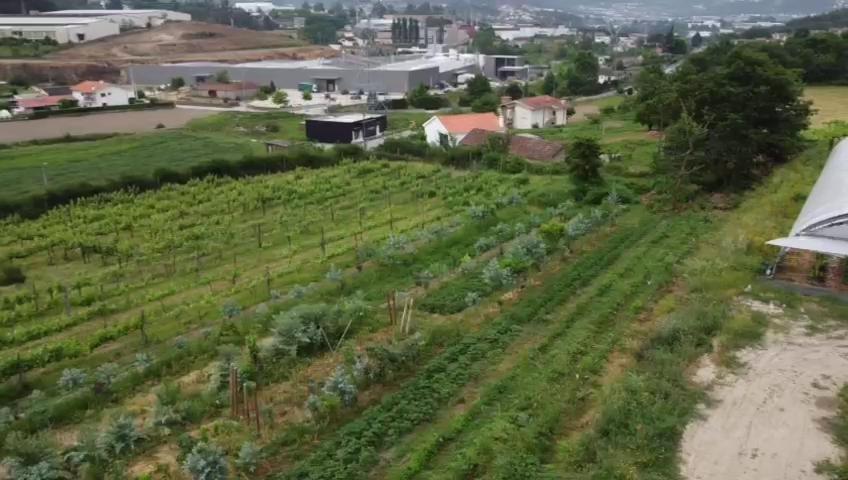 فيلا Quinta Do Pinheiro غيمارايش المظهر الخارجي الصورة